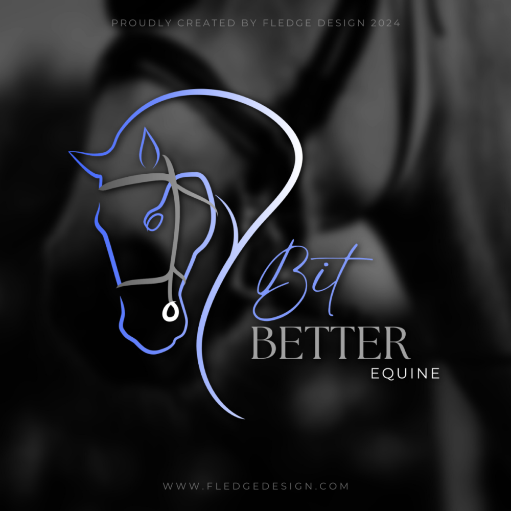 Bit Better logo 2024