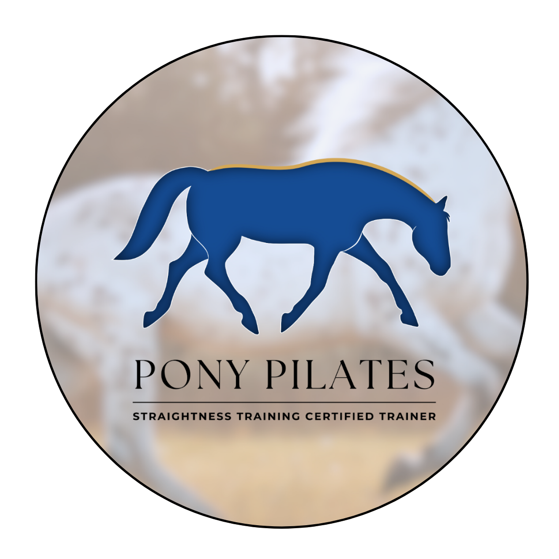 Pony Pilates