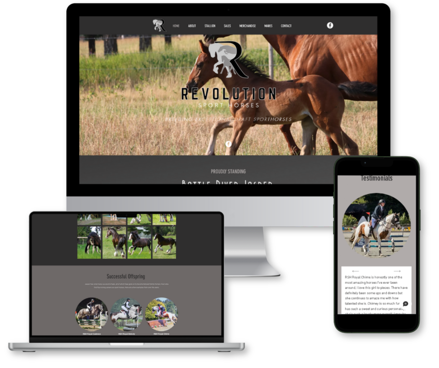 Website Portfolio exmples (6)
