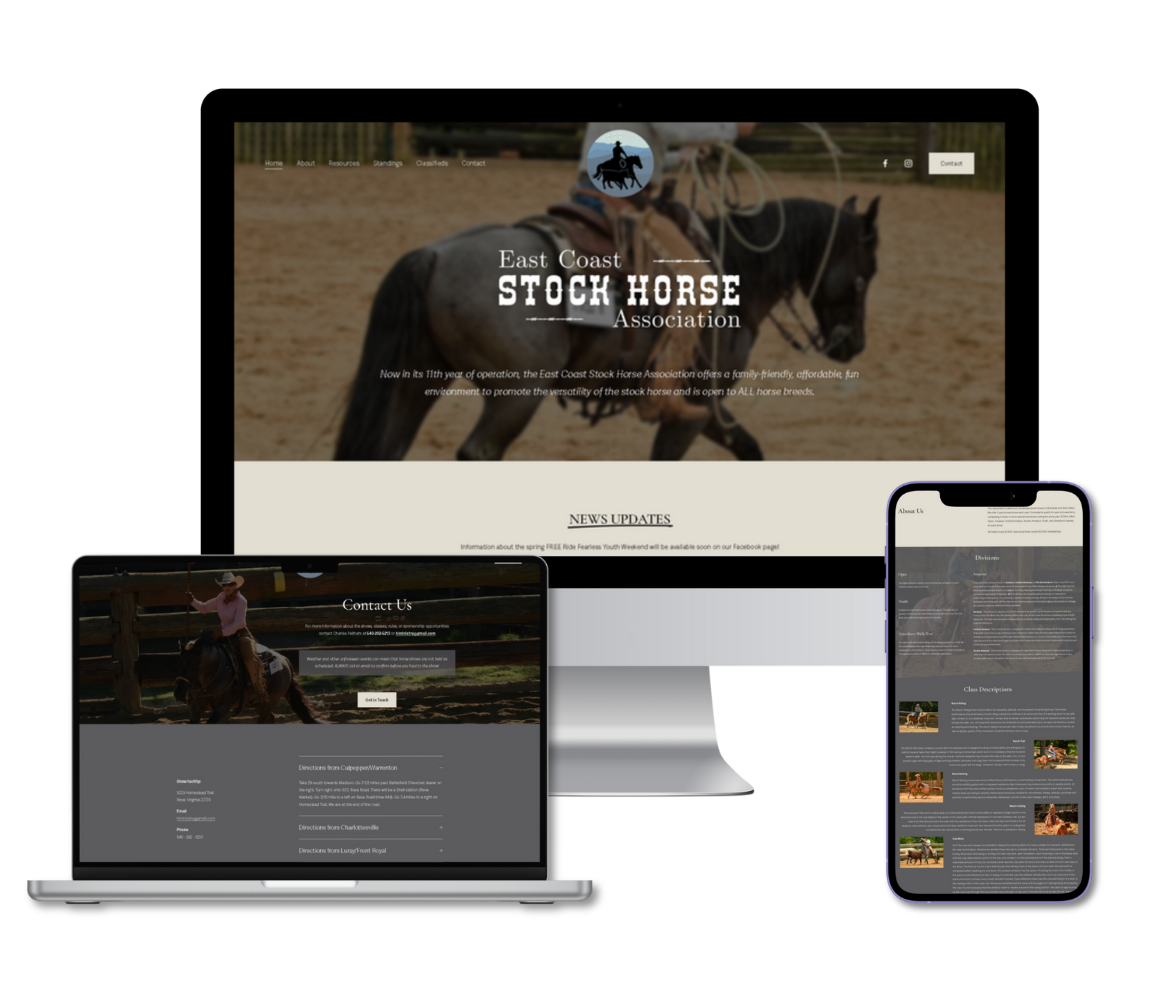 Website Portfolio exmples