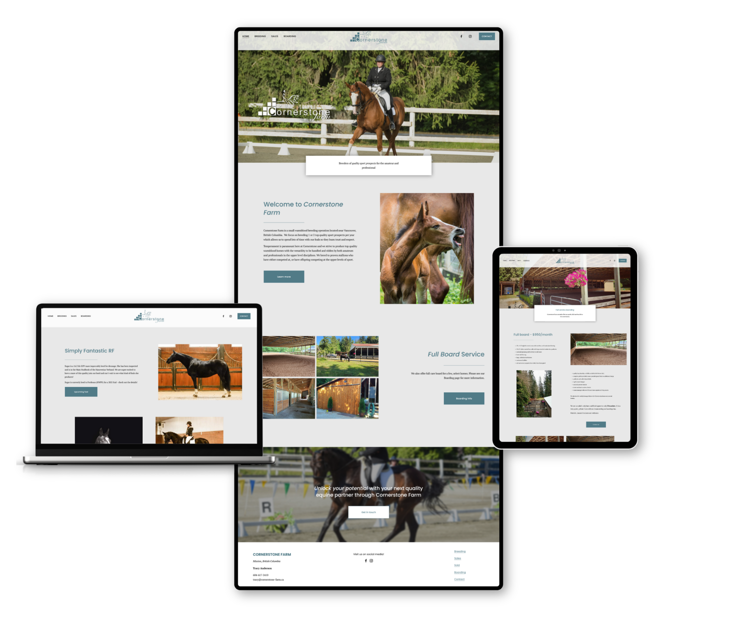 Website Portfolio examples (4)